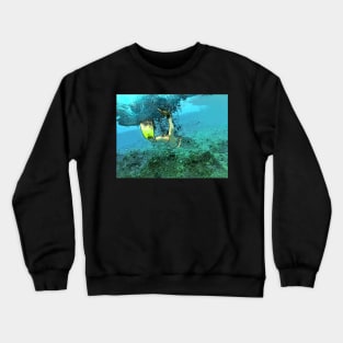 Snorkeling Crewneck Sweatshirt